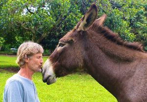Donkey kissing1