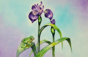Frog10 by visionary artist Madeleine Tuttle