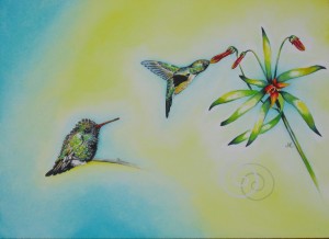 aHummingbird5 by visionary artist Madeleine Tuttle